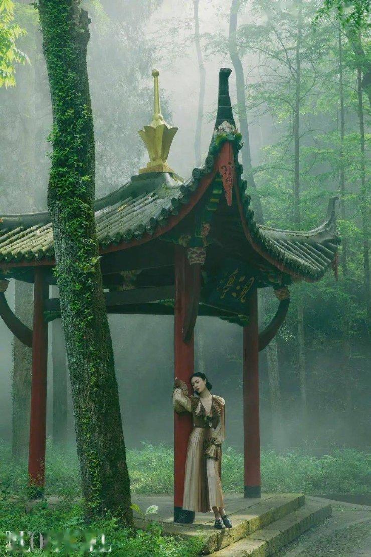 费用多少？
